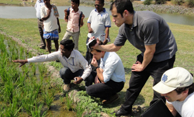 Students working in field in India