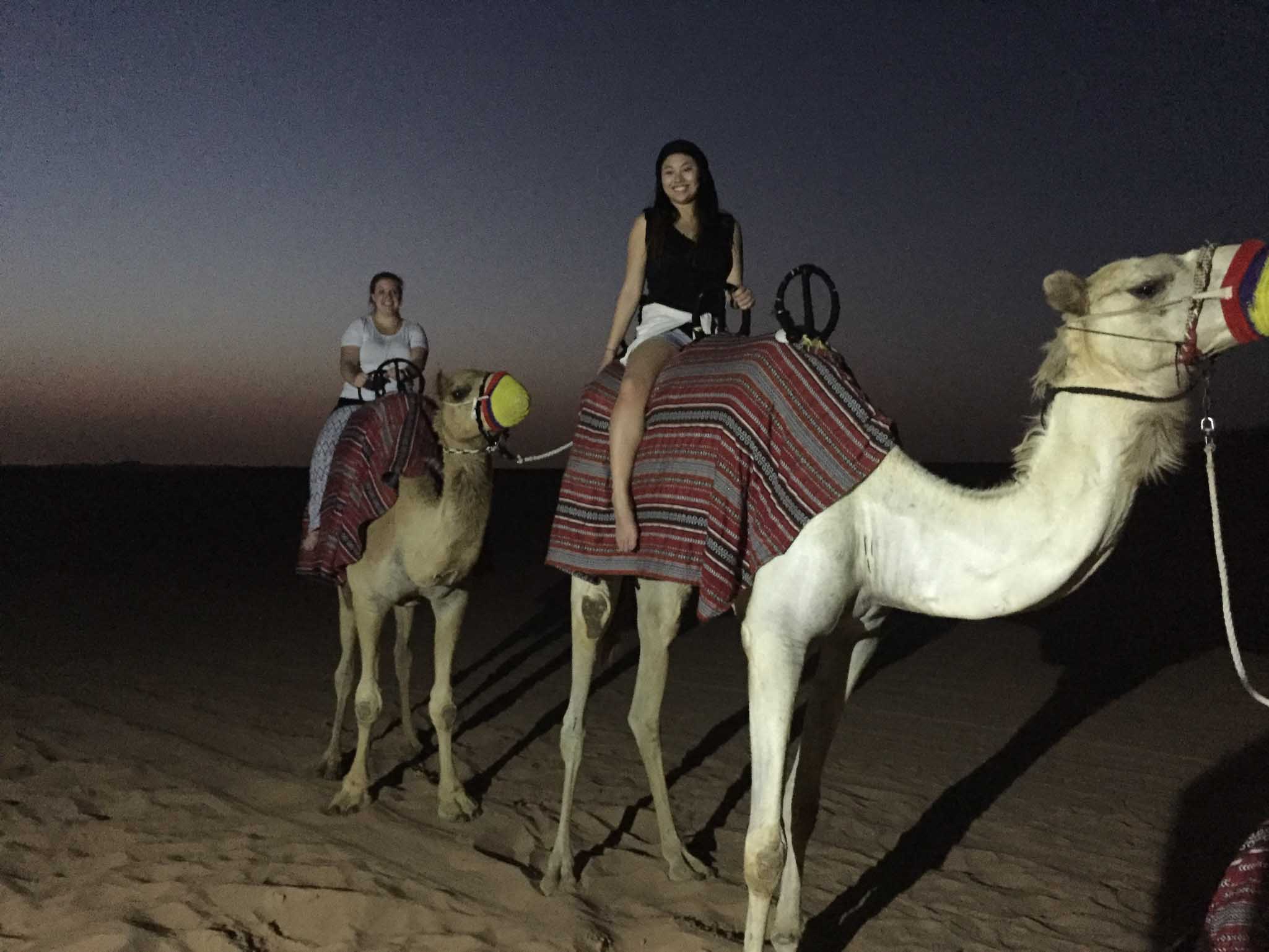 students riding camels in Dubai 