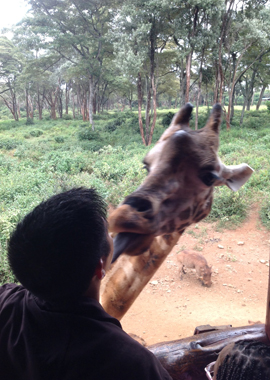MBA student with giraffe