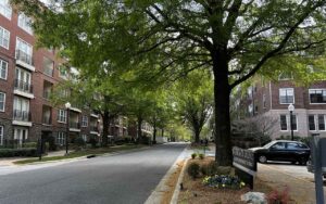 The tree-lined road leading to Station Nine, a brick apartment building in Durham, off of bustling Ninth Street