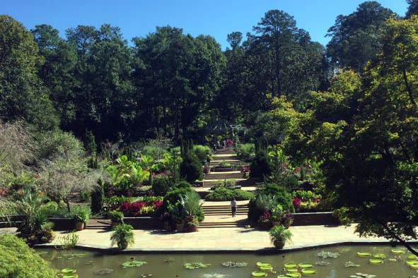 a terraced stairway leading up from a pond in Duke Gardens, one of the spots that helped Robyn feel at home in Durham