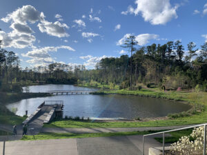 Duke Pond