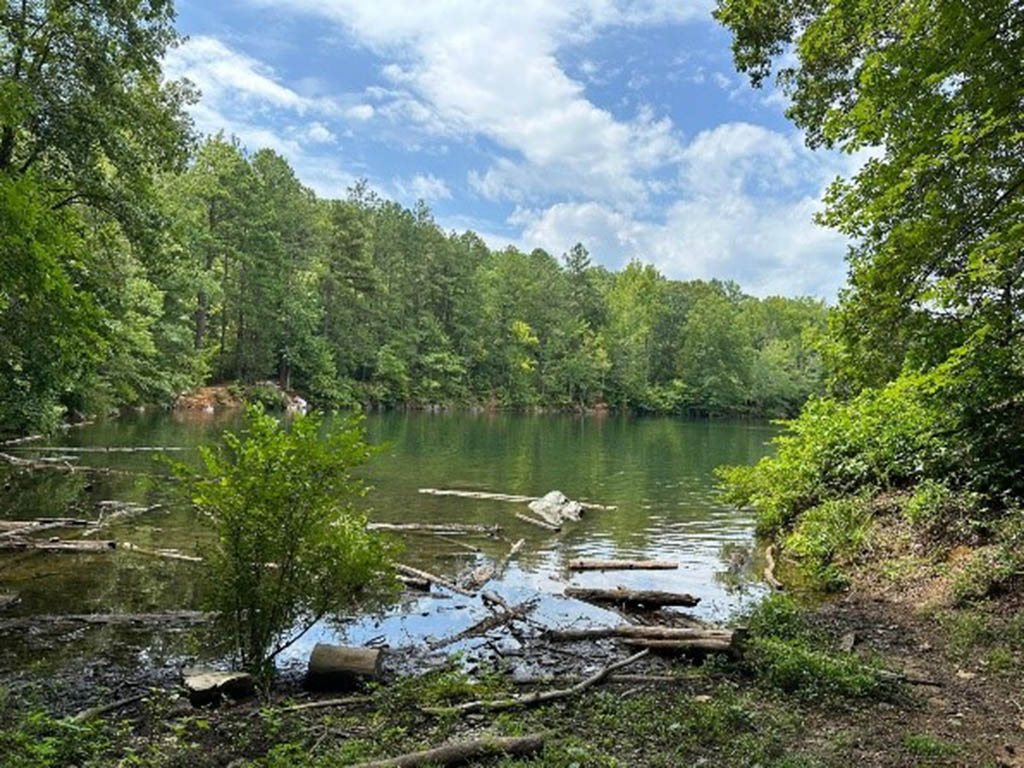 A calm watering hole at Eno River State Park